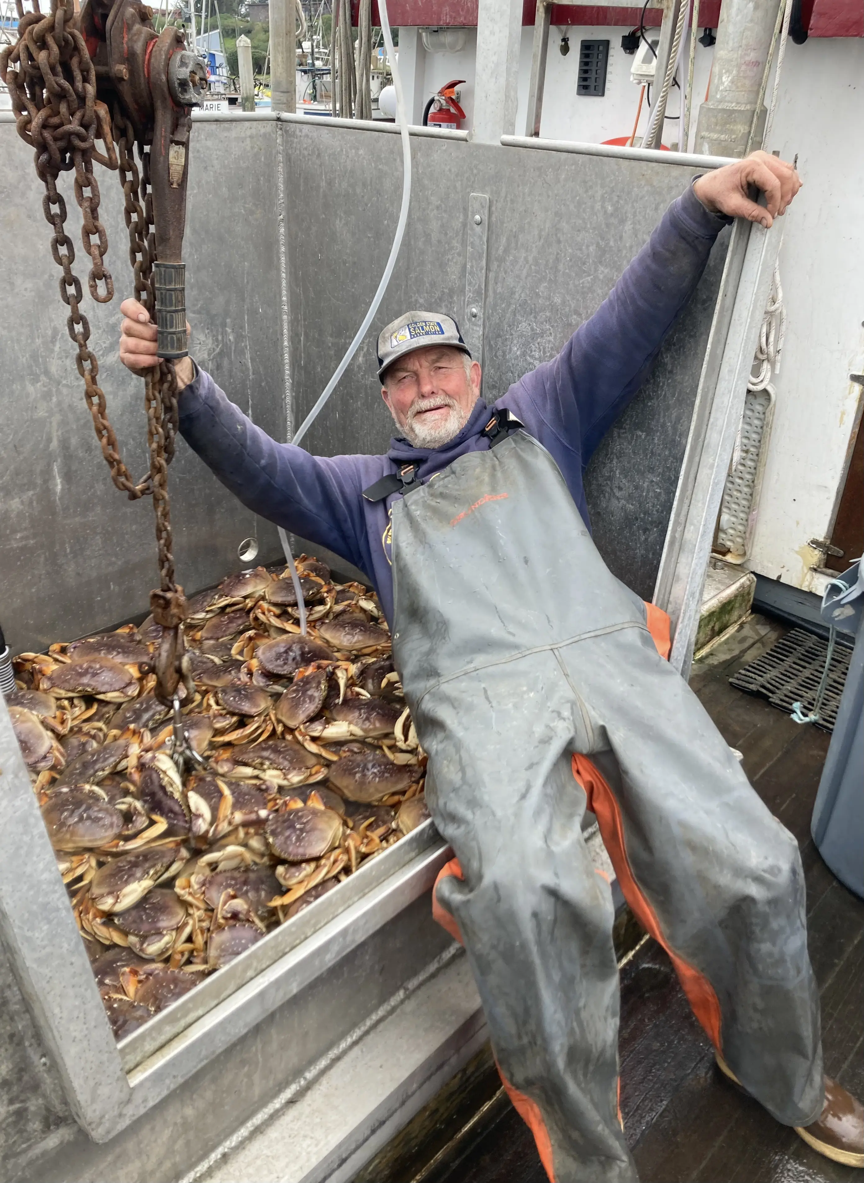 Dungeness Crab — a full hold, right off the boat