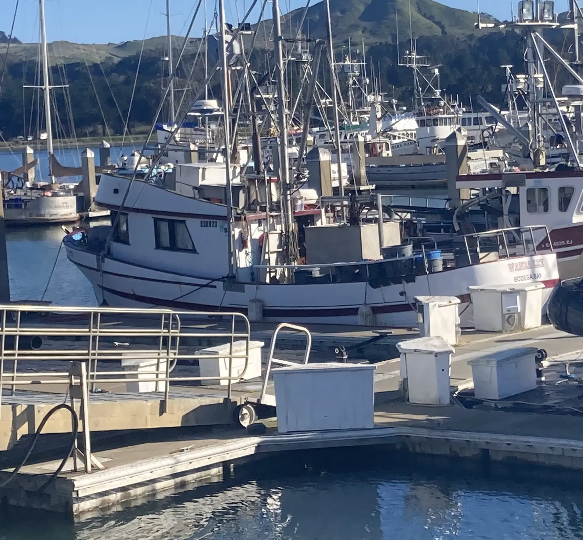 Wanda Lee at Spud Point Marina — Bodega Bay, CA